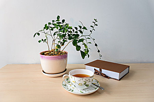 如何使用瑞星全盘查杀毒